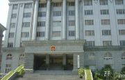 杨浦法院审理的一起身体权、生命权、健康权纠纷案