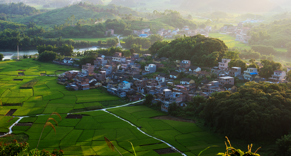 种下一道风景.jpg