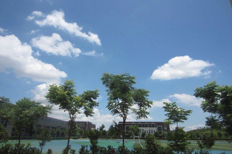 云淡风轻.jpg