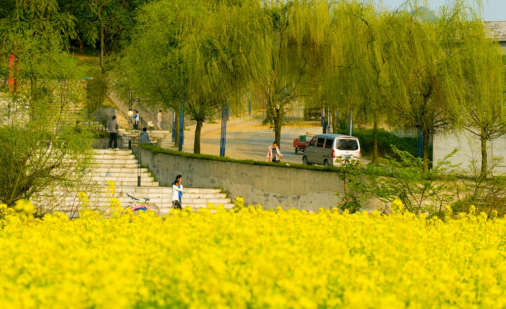 春和景明图.jpg