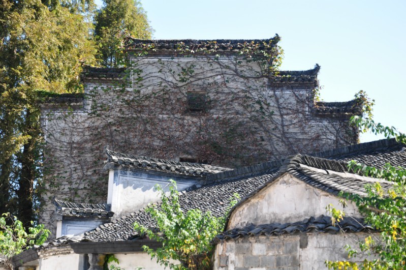 古镇一角.jpg