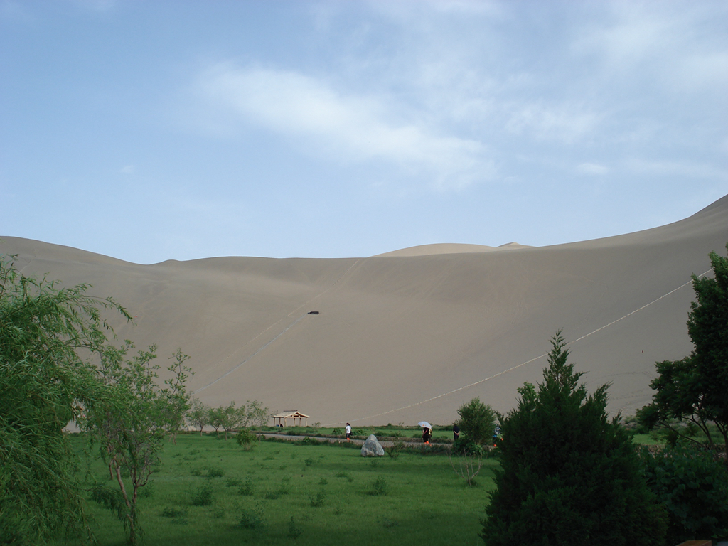 沙漠绿洲.jpg