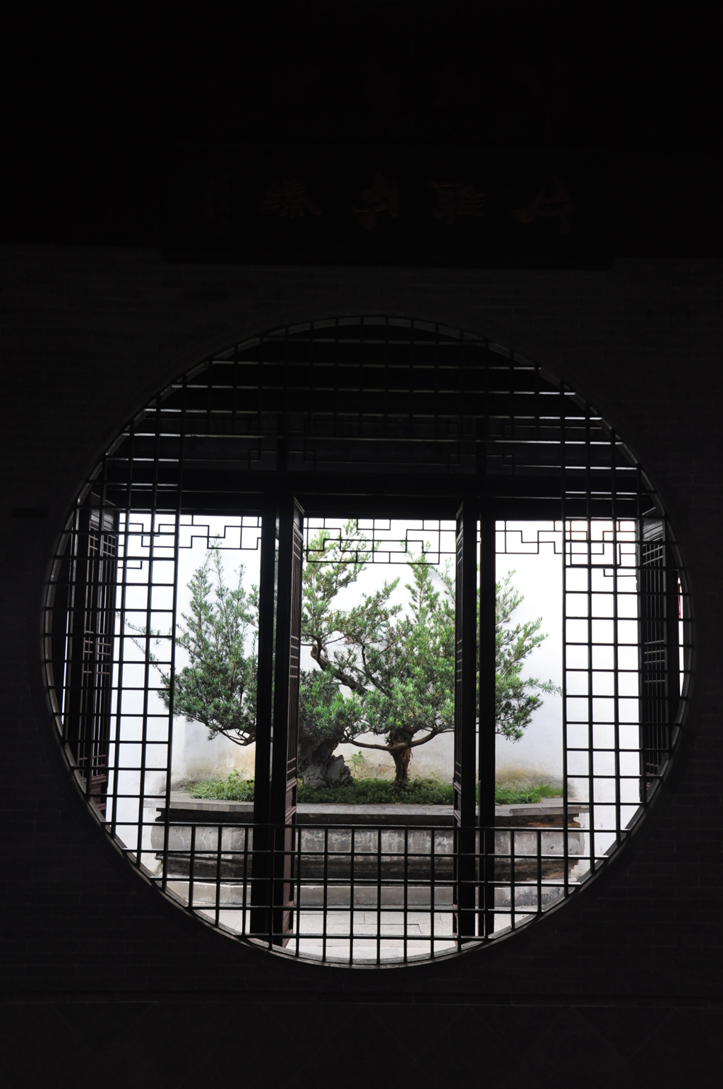别样风景.JPG