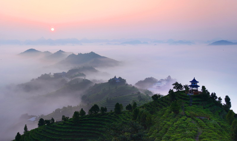 茶山日出.jpg