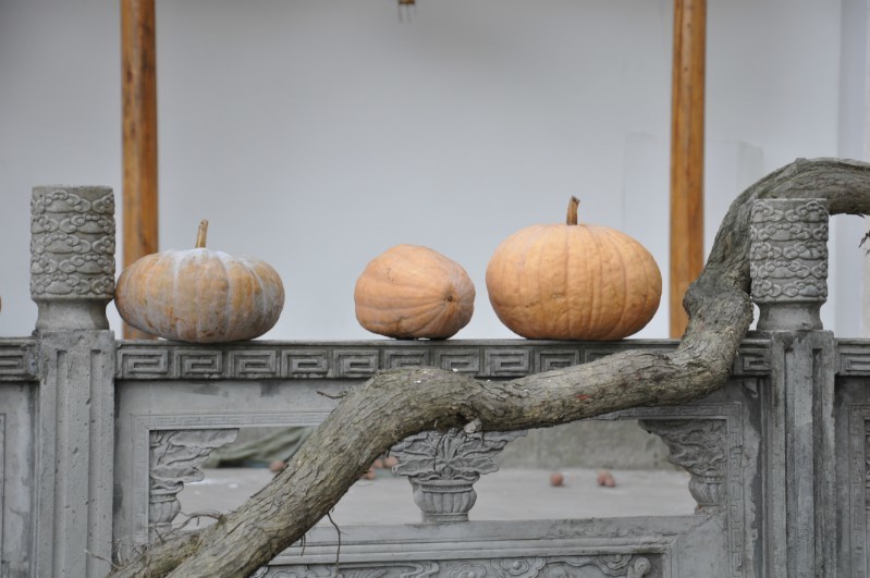 伴.jpg
