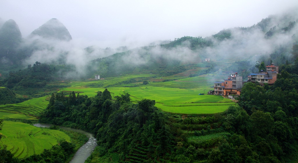 乡村晨景.jpg