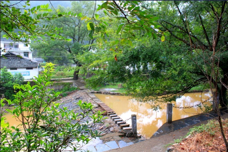 回家的小路.jpg