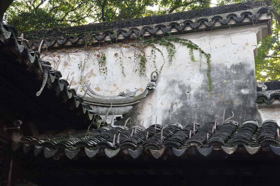 见证历史.jpg