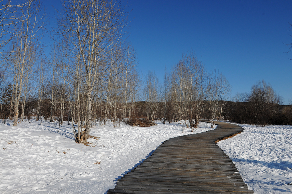 北极村的雪（一）.jpg