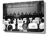 2014年度人民法院十大民事案件