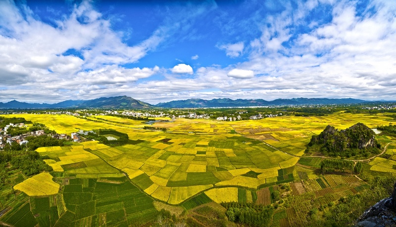 《金色大地》广西壮族自治区平南县人民法院雷鹤松..jpg