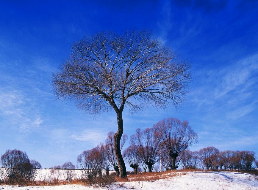 靖边雪 陕西省高级人民法院杨繁.jpg