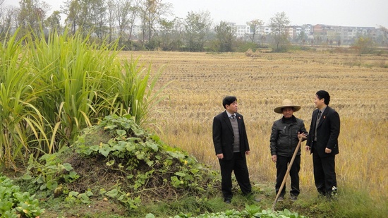 深入田间地头，听取百姓的意见和建议.jpg