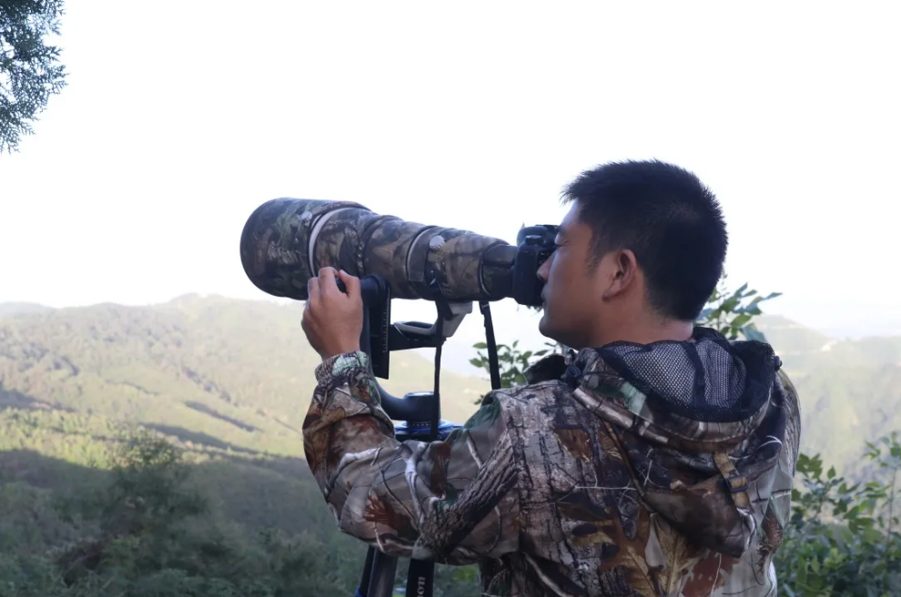 1582682378336448.png image.png