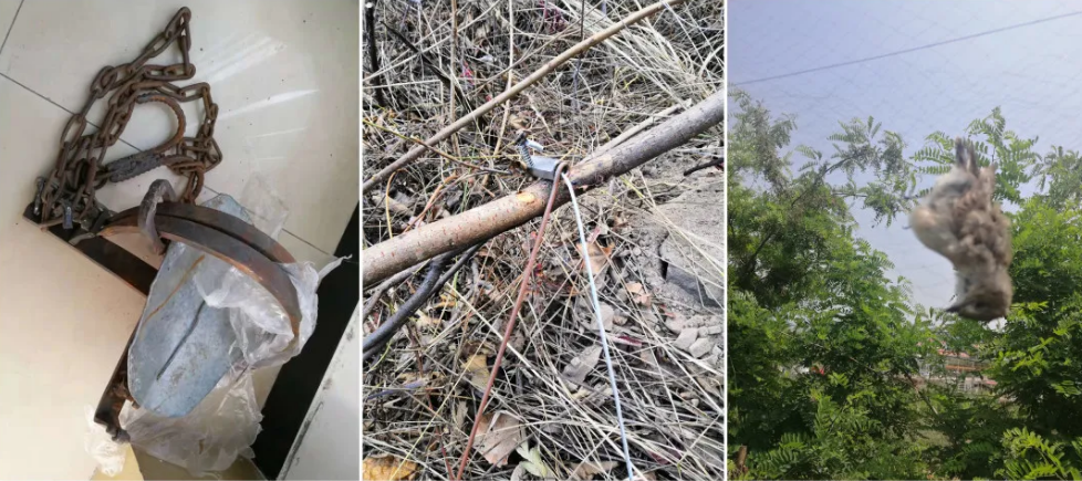 1582682495857423.png image.png