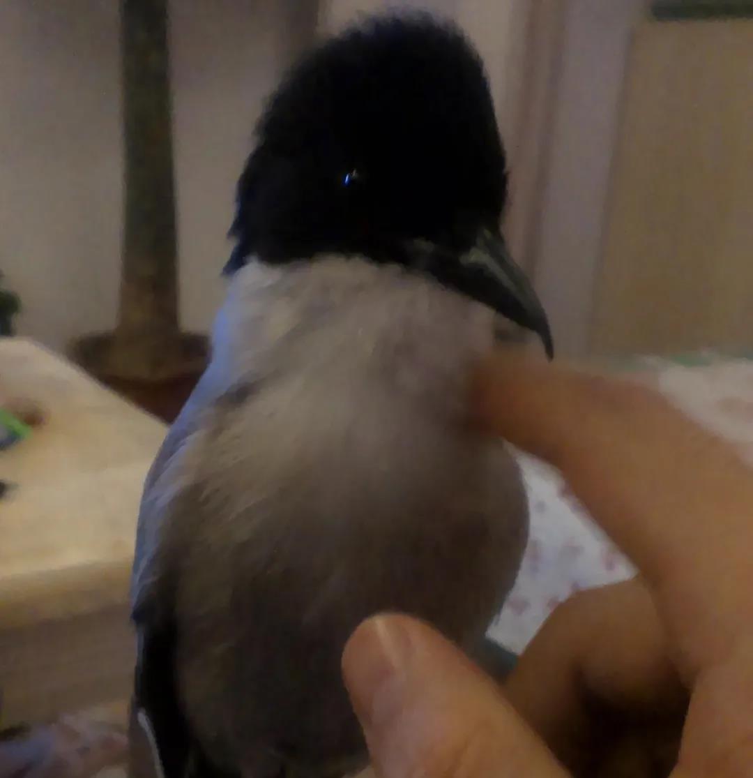 1582682611332316.jpg 14.jpg