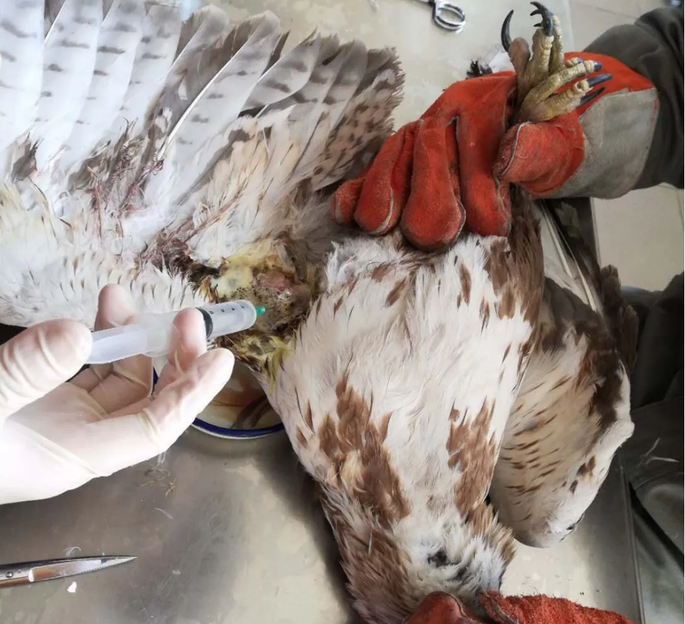 1582683485614158.png image.png