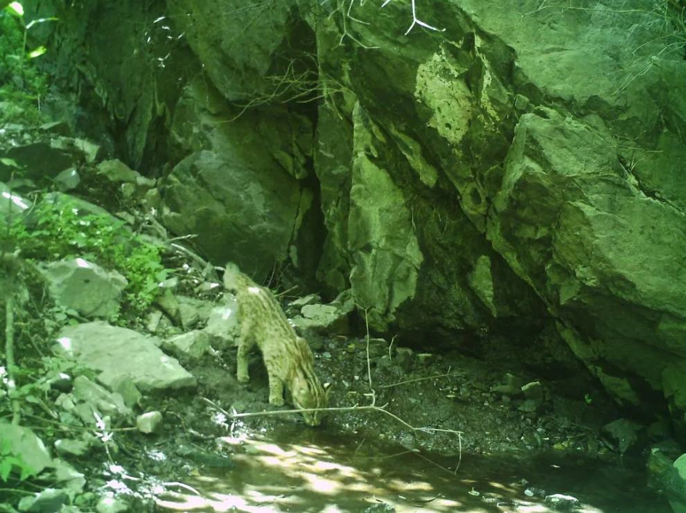 1582683544102457.png image.png