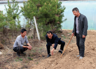 樊九平 以“五心”塑造“樊九平式调解模式”